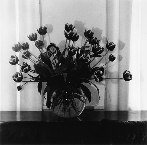 ROBERT MAPPLETHORPE