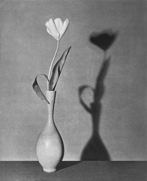 ROBERT MAPPLETHORPE