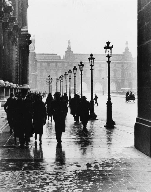FRED STEIN
