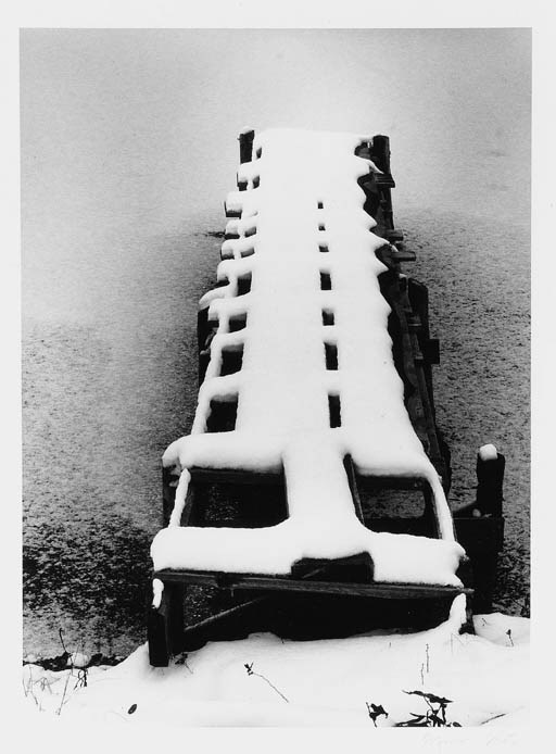 MINOR WHITE