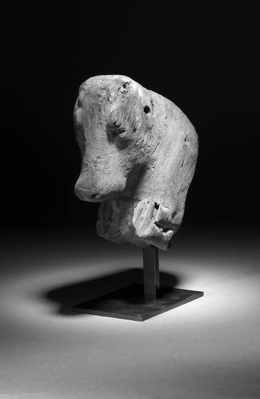 A WOODEN BOVINE FOREPART