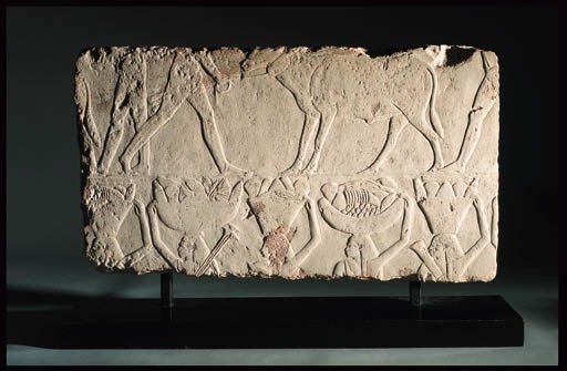 AN OLD KINGDOM LIMESTONE AGRICULTURAL RELIEF FRAGMENT