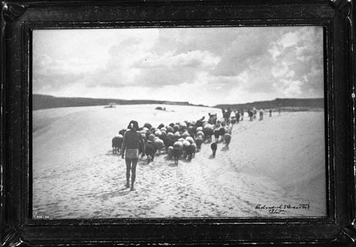 EDWARD S. CURTIS