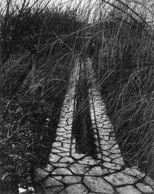 PAUL STRAND