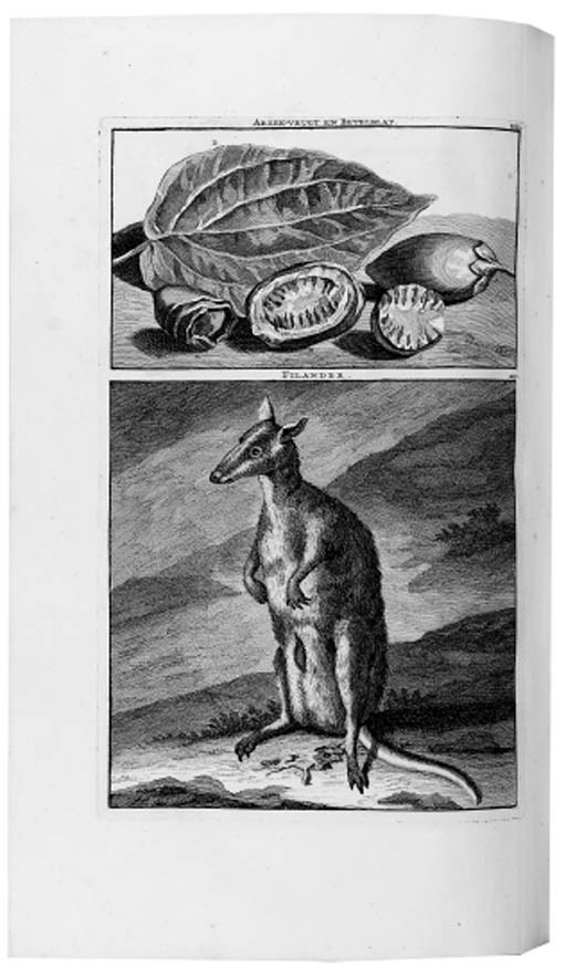 LE BRUN, Cornelius. Reizen over Moskovie, door Persie en Indie. Amsterdam: for the author by Willem and David Goerree, 1711.