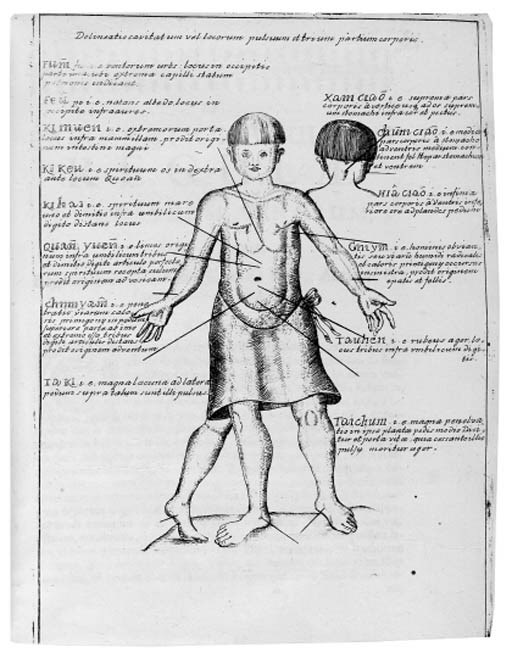 CLEYER, Andreas (fl. 1665-1697), editor. Specimen medicinae sinicae; sive Opuscula medica ad mentem sinensium. Frankfurt: J. P. Zubrodt, 1682.