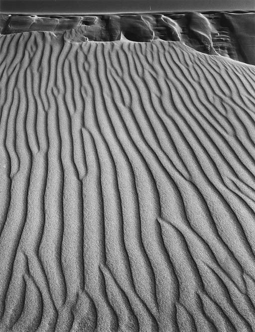 ANSEL ADAMS