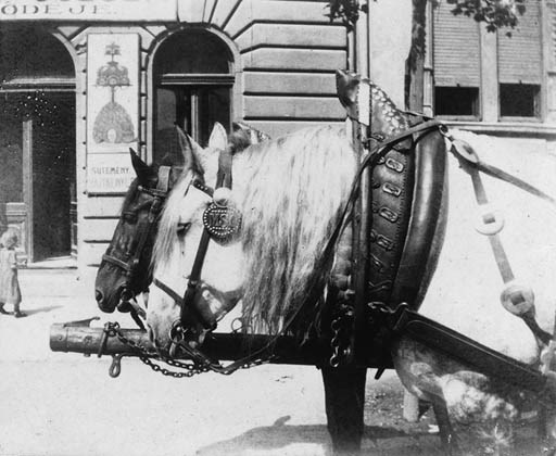 ANDR KERTSZ (1894-1985)