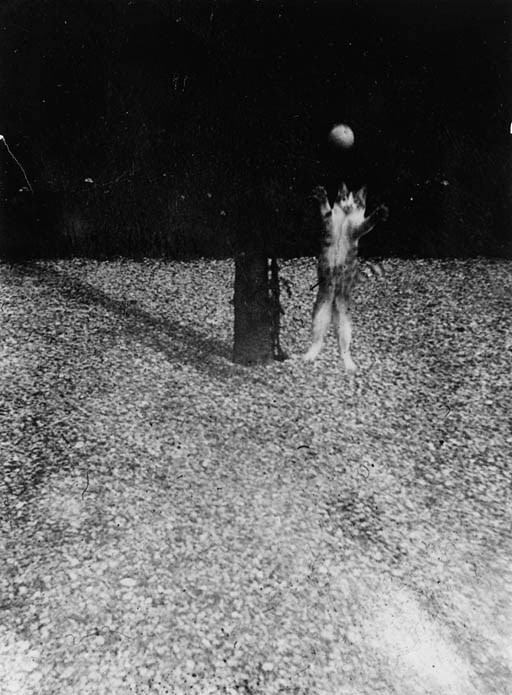 JACQUES-HENRI LARTIGUE (1894-1986)