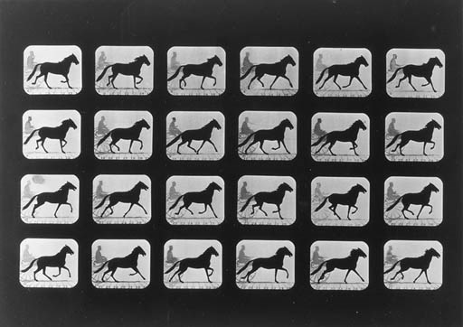 EADWEARD MUYBRIDGE