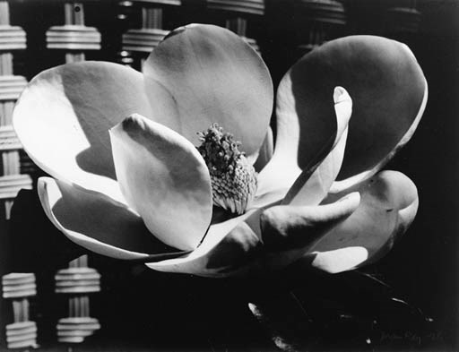 MAN RAY