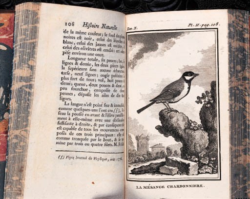 BUFFON, G.L.M.L., Comte de.  A set of works comprising: Histoire Naturelle.  Paris: 1769-70. 13 vols., 12° -- Histoire Naturelle des Oiseaux. Paris: 1770-81. 16 vols., 12° -- Histoire Naturelle Supplément. Paris: 1784-85. 16 vols. only (of 18, lacking vols. 15-16), 12°.  Together 45 vols., engraved plates, contemporary marbled calf, floral gilt spines with raised bands and morocco labels (lightly rubbed). 	 (45)