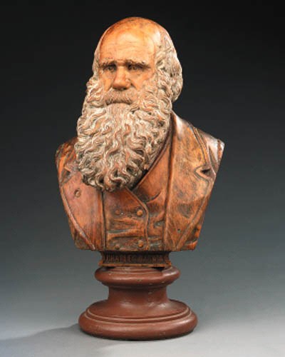 A carved pine library bust of Charles Darwin, late 19th century