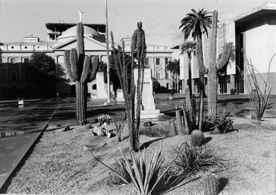 LEE FRIEDLANDER