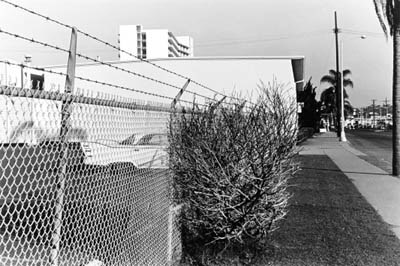 LEE FRIEDLANDER