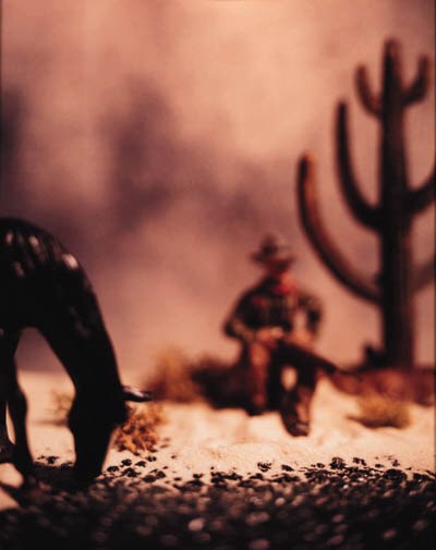 DAVID LEVINTHAL