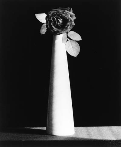 ROBERT MAPPLETHORPE