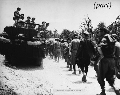 A Collection of World War II Photographs