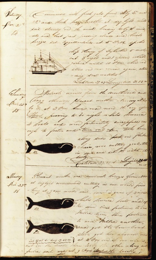 [WHALING LOG]. Manuscript "Journal of a Voyage on board of the Whaling Ship Hamilton of Bridgeport, [Conn.], Wm. R. Brown, Master. 1839-40-41." Folio, 320 x 193mm., 145 pages, written in a blank book of wove paper, bound in quarter sheep and marbled paper boards. In very fine condition internally and externally. Bookplate of the late Dr. Joseph E. Fields.