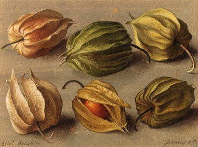 Eliot Hodgkin (1905-1987)
