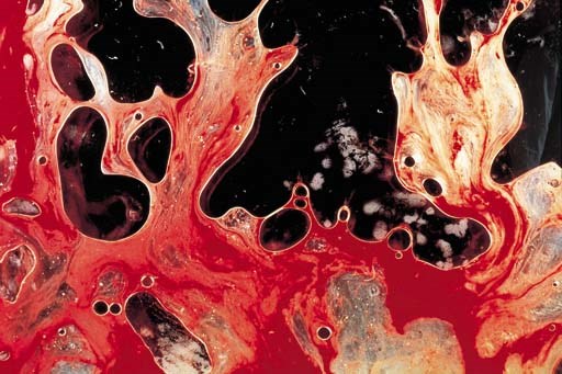 Andres Serrano (B. 1950)