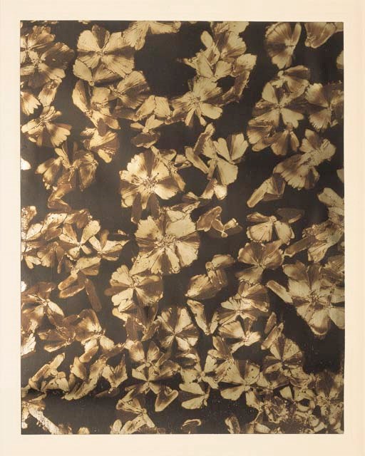 ALBIN GUILLOT, Laure. Micrographie Décorative. Paris: Draeger Frères, 1931. In-folio carré (435 x 405mm.). Reliure à spirale, le premier plat estampé d'un décor de feuillages et marqué du titre en grandes lettres au palladium. Chemise cartonnée recouverte de papier vélin et marquée du titre et du nom de l'auteur.