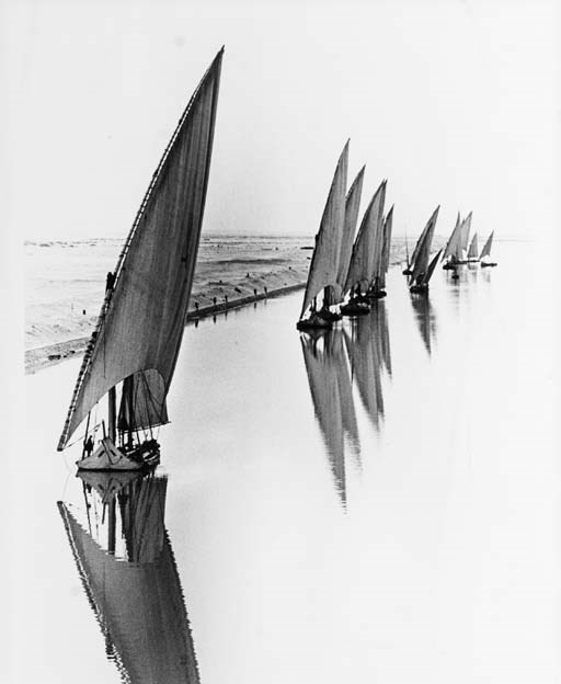 ALFRED EISENSTAEDT
