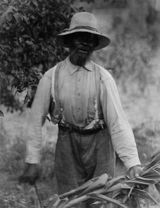 DORIS ULMANN