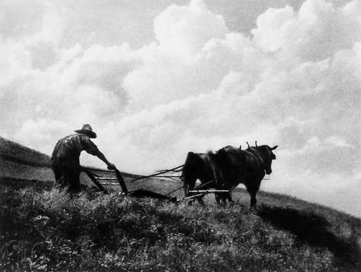 ADOLF FASSBENDER AND FORMAN HANNA
