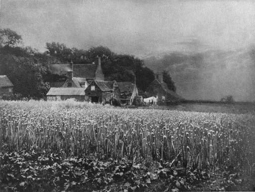 ALFRED STIEGLITZ, EDITOR AND PUBLISHER