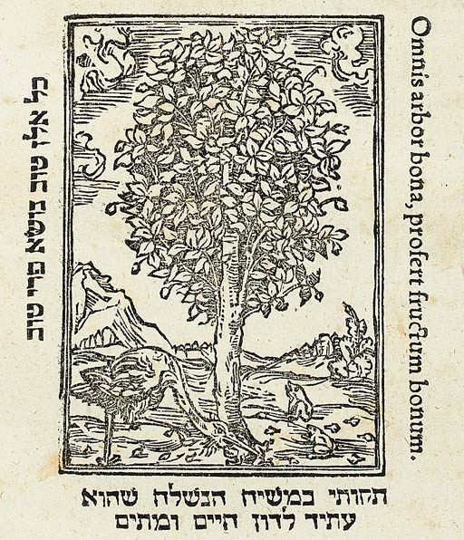 [MISHNAH]. Pirke Avot. Sententiae vere elegantes ad linguam discendam veterum sapientum Hebraeorum, quas Apophtegmata Patrum nominant, in Hebrew and Latin. Translated and edited by Paul Fagius. Isny: Paul Fagius, 1541.