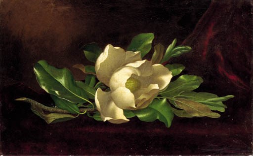 Martin Johnson Heade (1819-1904)