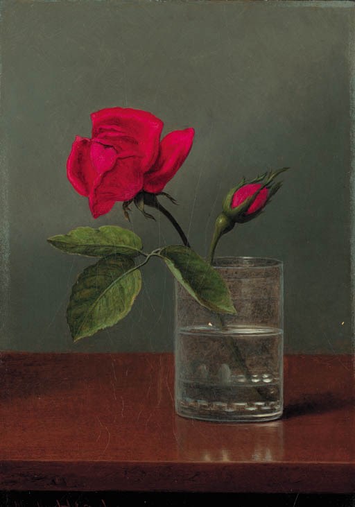 Martin Johnson Heade