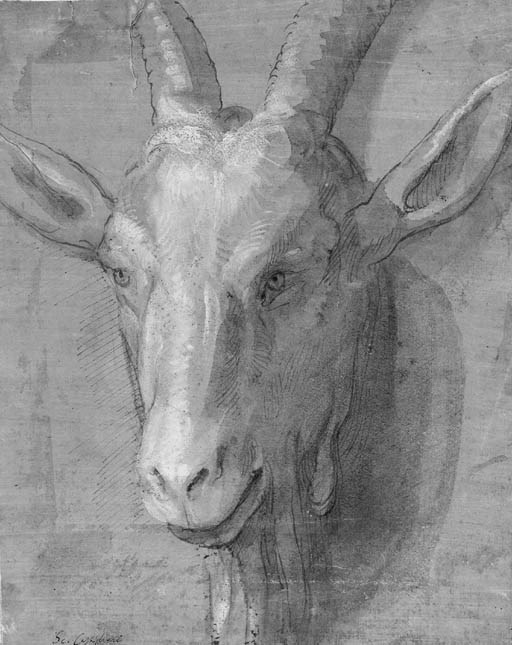 Genoese School, 17th Century