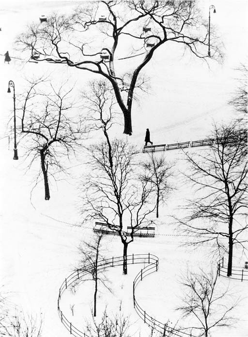 ANDRÉ KERTÉSZ