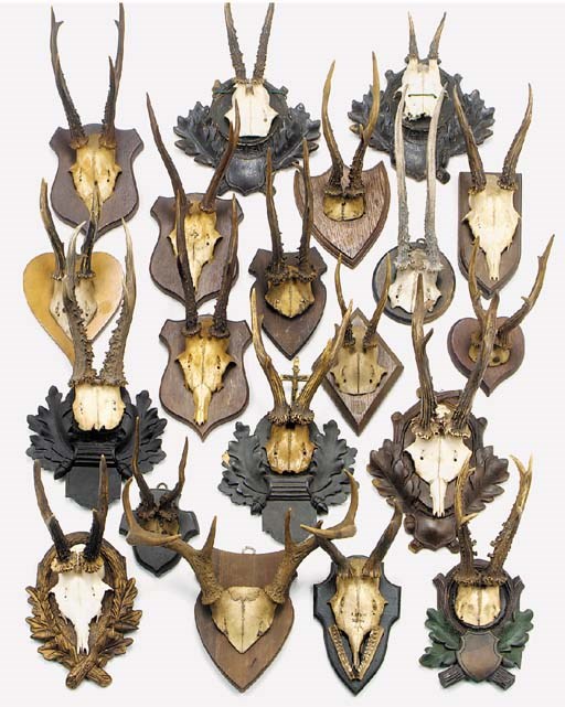 A collection of twenty various antler trophies, first half 20th century