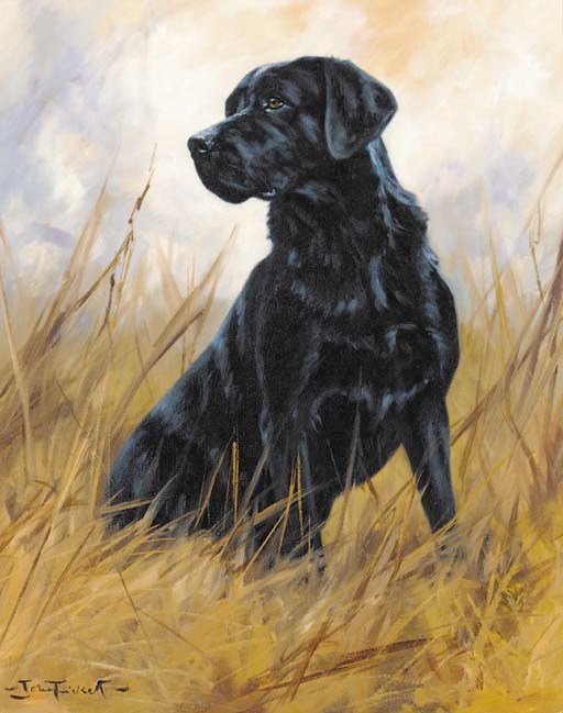 John Trickett (B.1953)