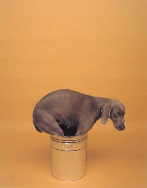 WILLIAM WEGMAN