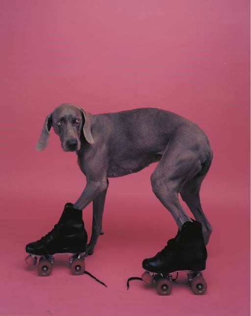 WILLIAM WEGMAN