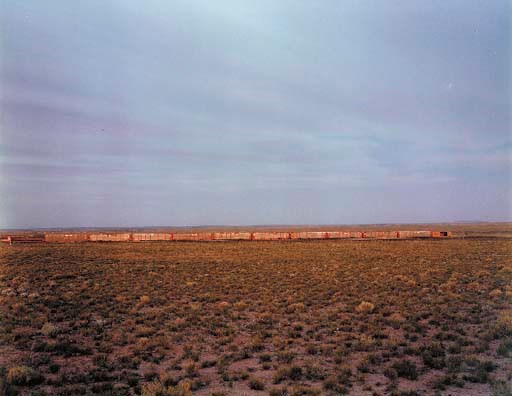 RICHARD MISRACH