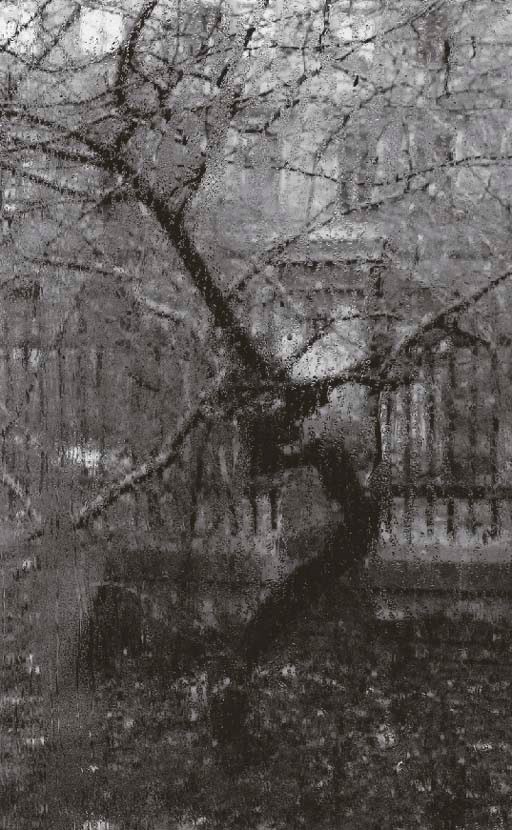 JOSEF SUDEK