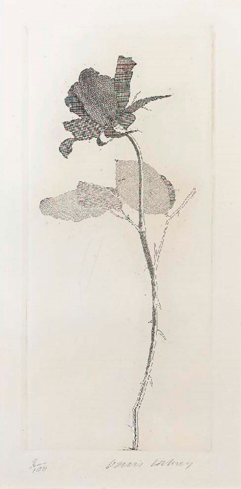 David Hockney