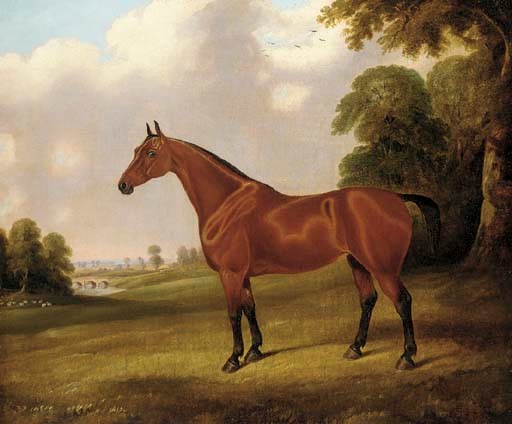 Edwin M. Fox (Fl.1830-1870)