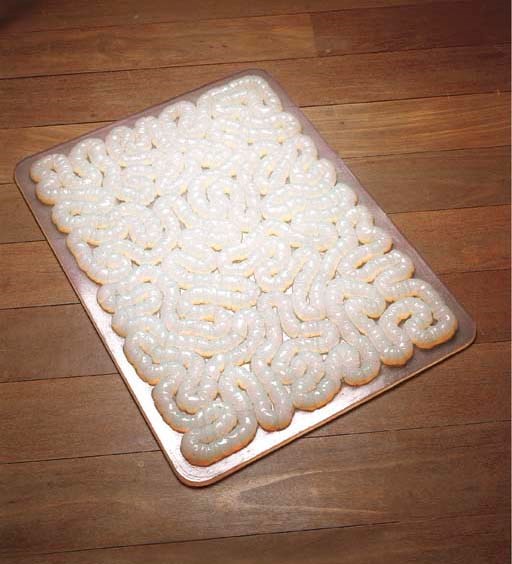 Mona Hatoum (b. 1952)