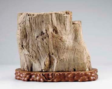 A LARGE PETRIFIED WOOD STUMP