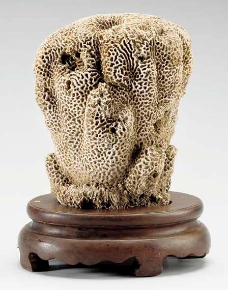 **A CORAL 'SCHOLAR'S ROCK'