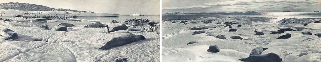 Frank Hurley (1885-1962)