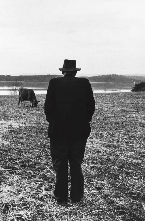 ROBERT FRANK