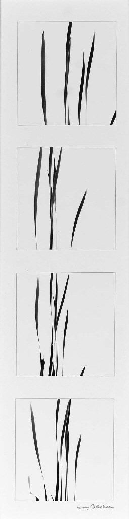 HARRY CALLAHAN