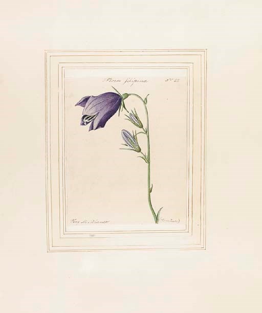 Francisco Manuel Blanco (1778-1845)